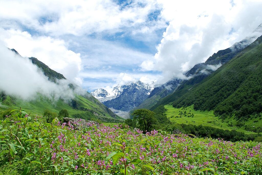 Valley of Flowers Uttrakhand Hindi