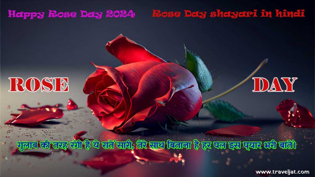 rose day shayrie in hindi
