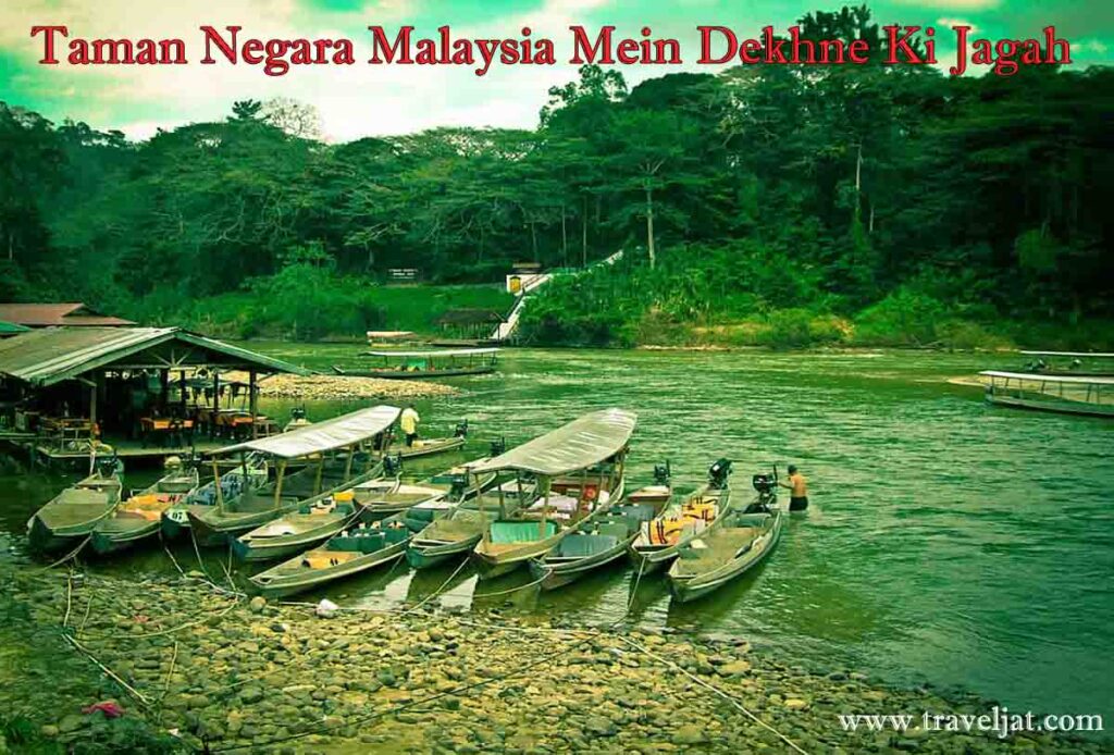 Taman Negara Malaysia Mein Dekhne Ki Jagah